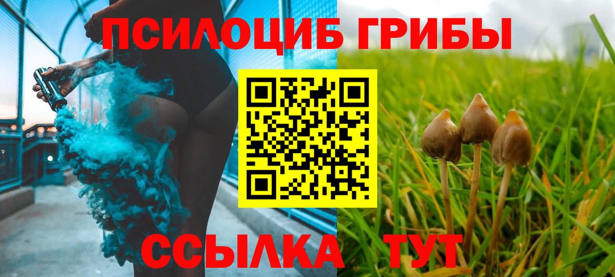 Галлюциногенные грибы Psilocybine cubensis Жигулёвск