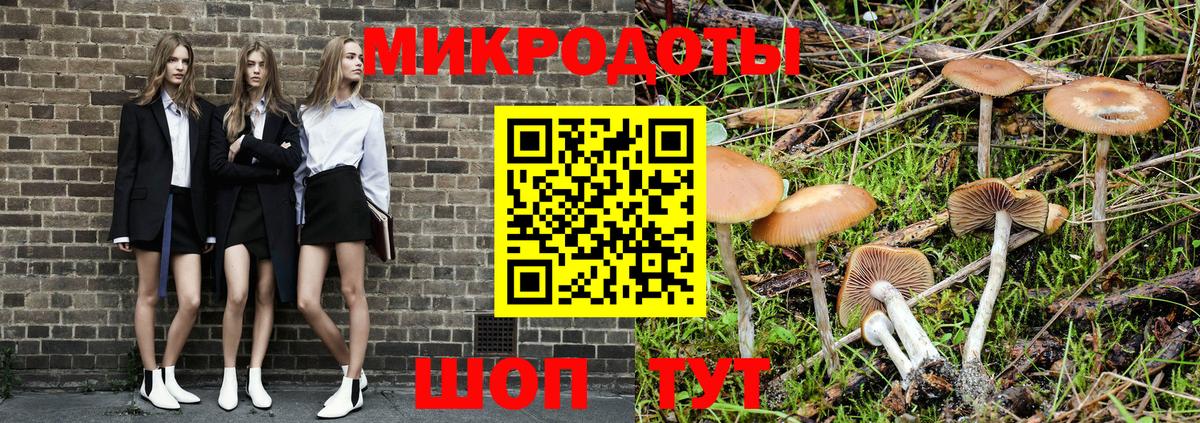 Псилоцибиновые грибы Psilocybe  Псилоцибиновые грибы мицелий  Вход с VPN  Жигулёвск 